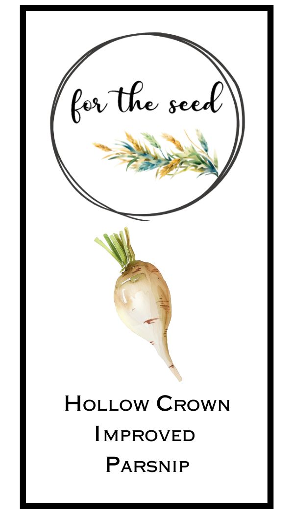 Hollow Crown Improved Parsnip