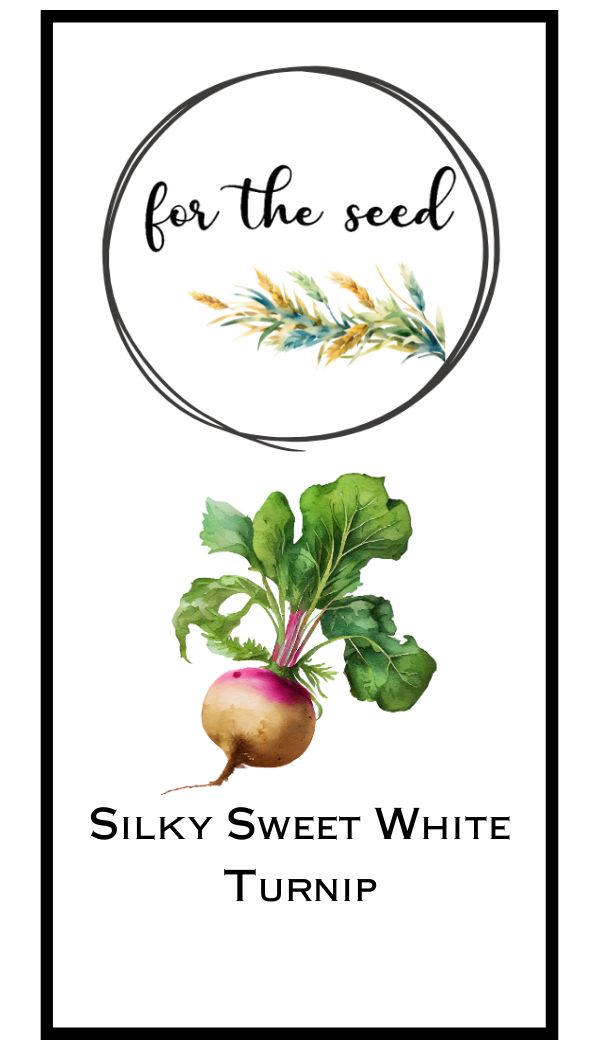 Silky Sweet White Turnip