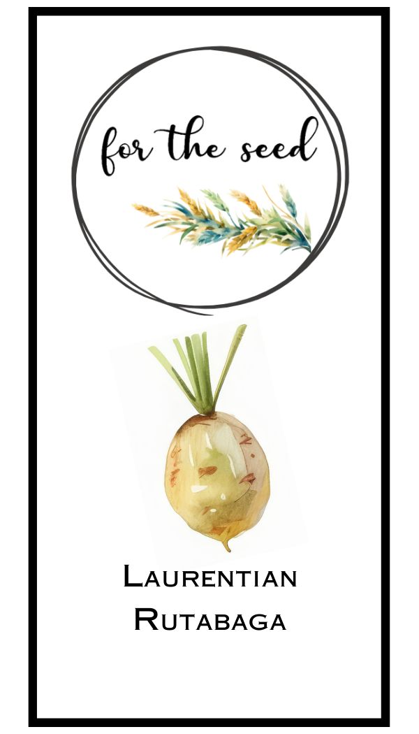 Laurentian Rutabaga
