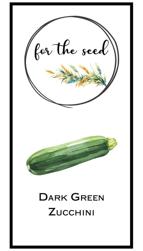 Dark Green Zucchini Summer Squash