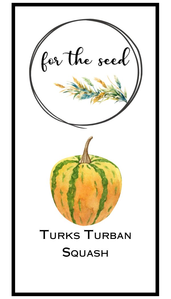 Turk&#39;s Turban Winter Squash