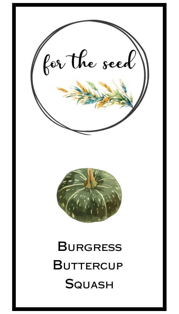 Burgress Buttercup Squash
