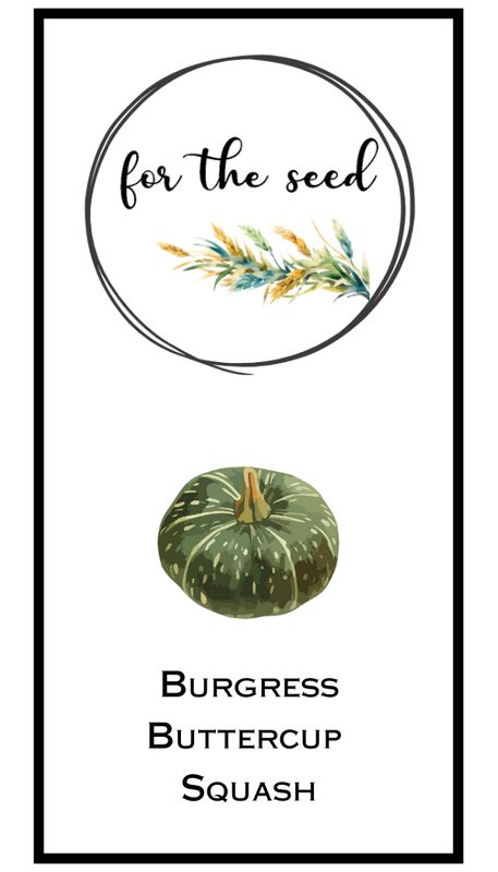 Burgress Buttercup Squash
