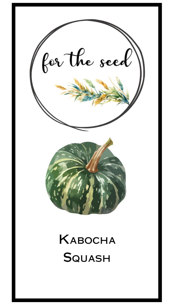 Kabocha Winter Squash