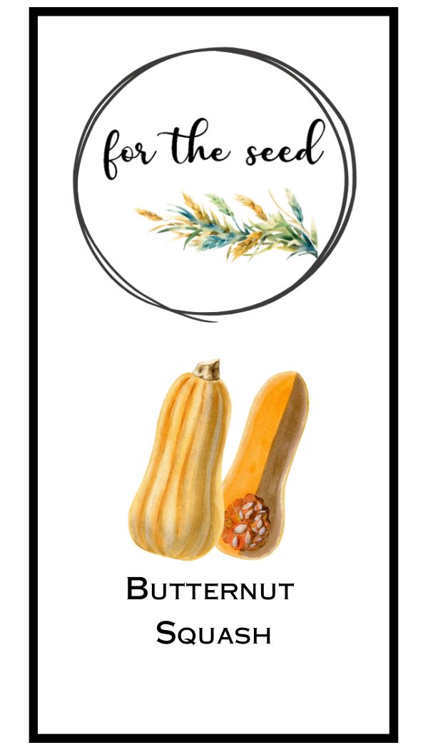 Waltham Butternut Winter Squash
