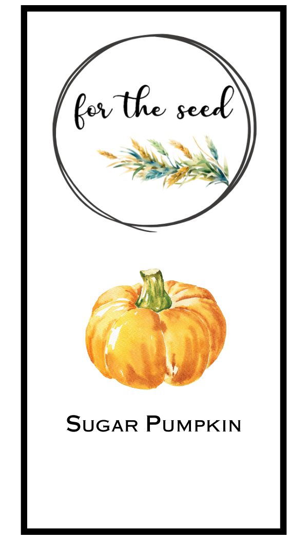Sugar Pumpkin Winter Squash