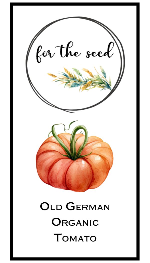 Old German Tomato (Indeterminant)