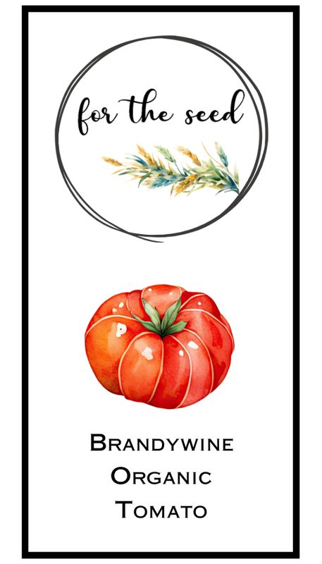 Brandywine Organic Tomato (Indeterminant)