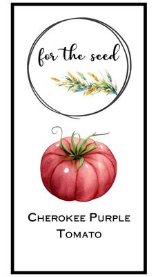 Cherokee Purple Tomato (Indeterminate)