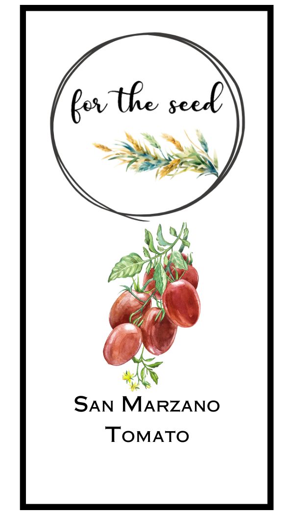 San Marzano Tomato (Indeterminate)