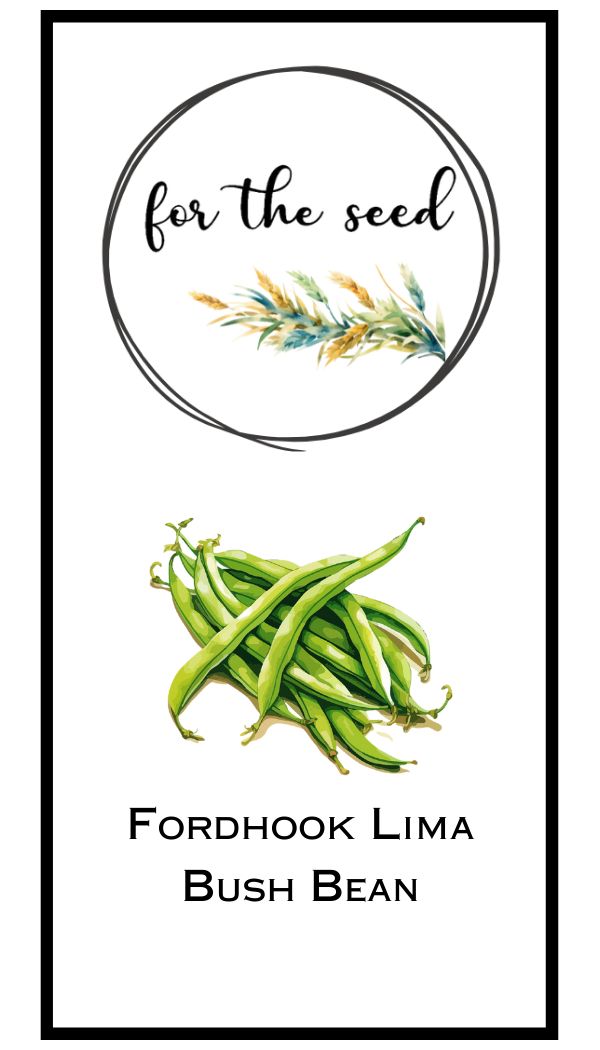 Fordhook Lima Bush Bean - Standard