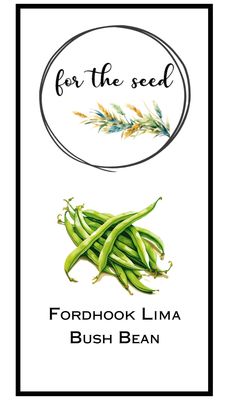 Fordhook Lima Bush Bean - 1/2lb Jumbo Pack