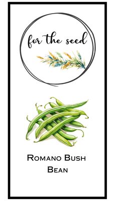 Romano Bush Beans - 1/4lb Large Pack
