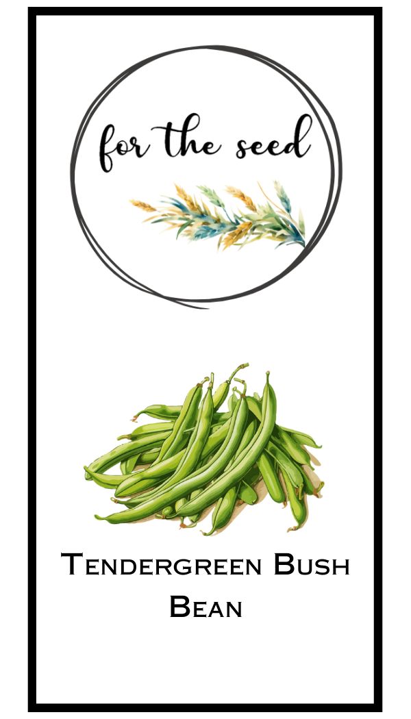 Tendergreen Bush Bean - 1/4lb Large Pack