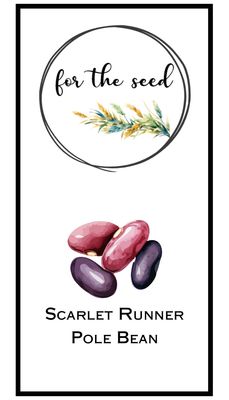 Scarlet Runner Pole Bean