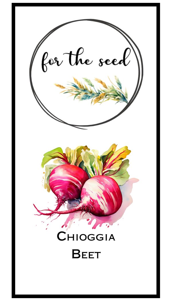 Chioggia Beet