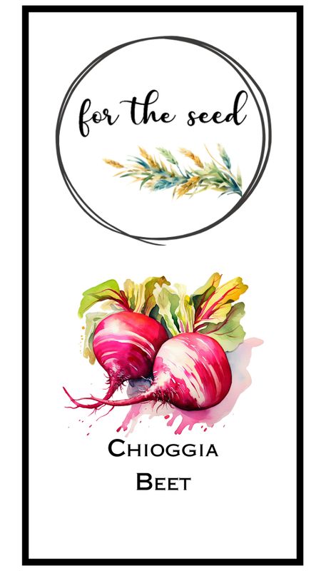 Chioggia Beet