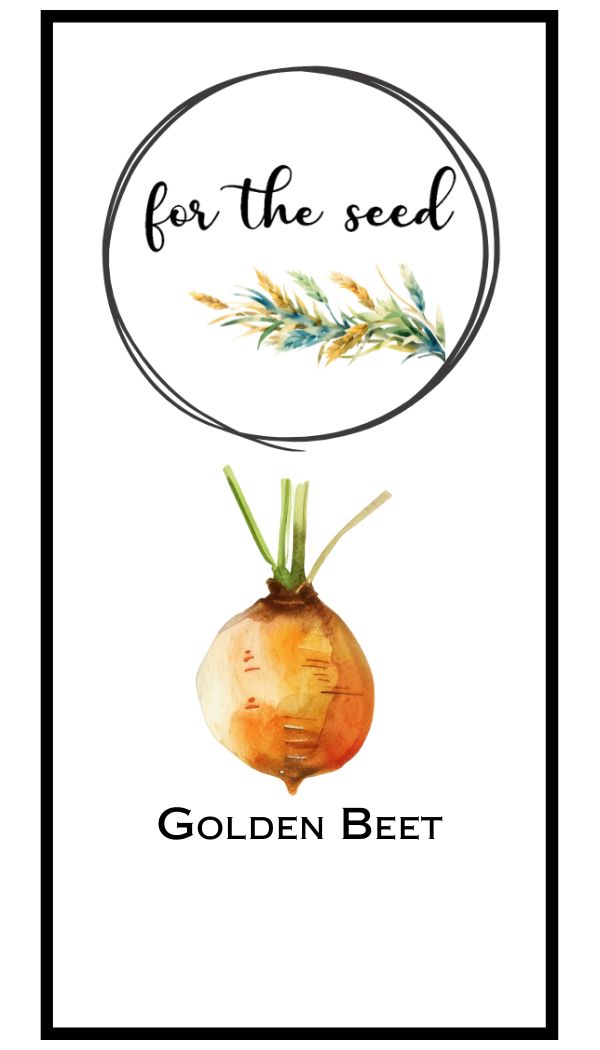 Golden Beet