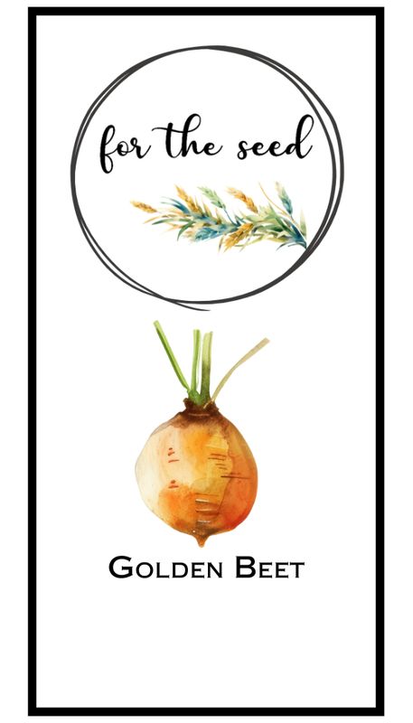 Golden Beet