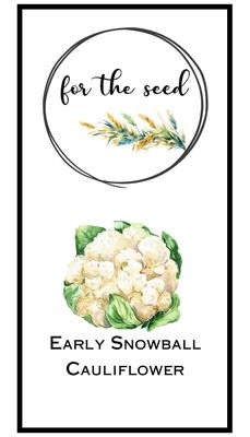 Early Snowball Cauliflower