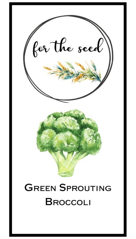 Green Sprouting Organic Broccoli