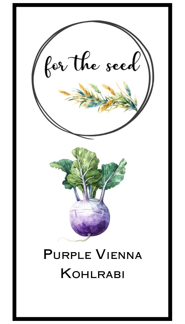 Purple Vienna Kohlrabi