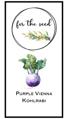 Purple Vienna Kohlrabi