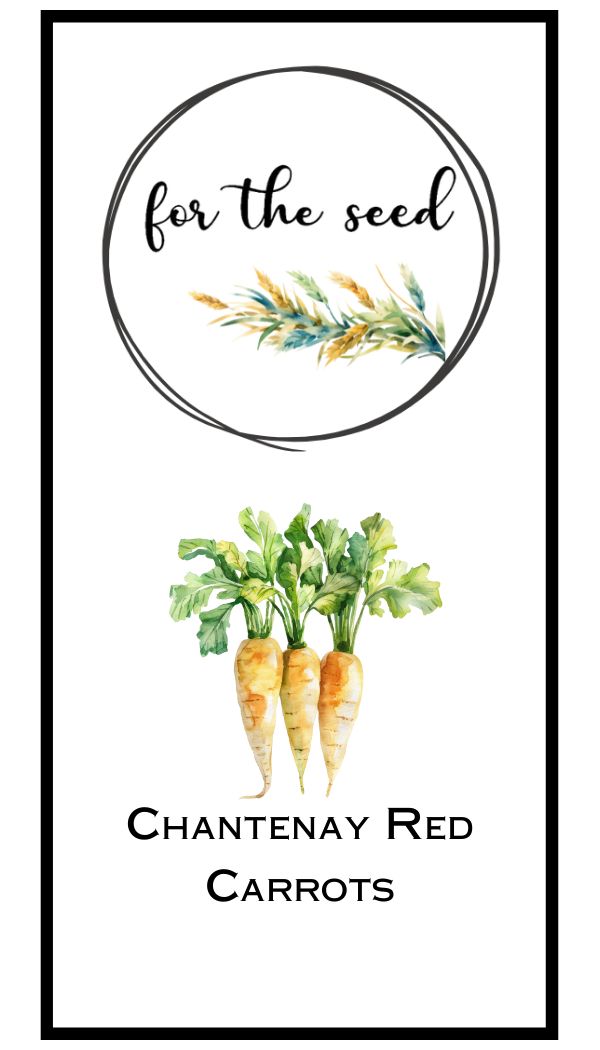 Chantenay Red Carrots