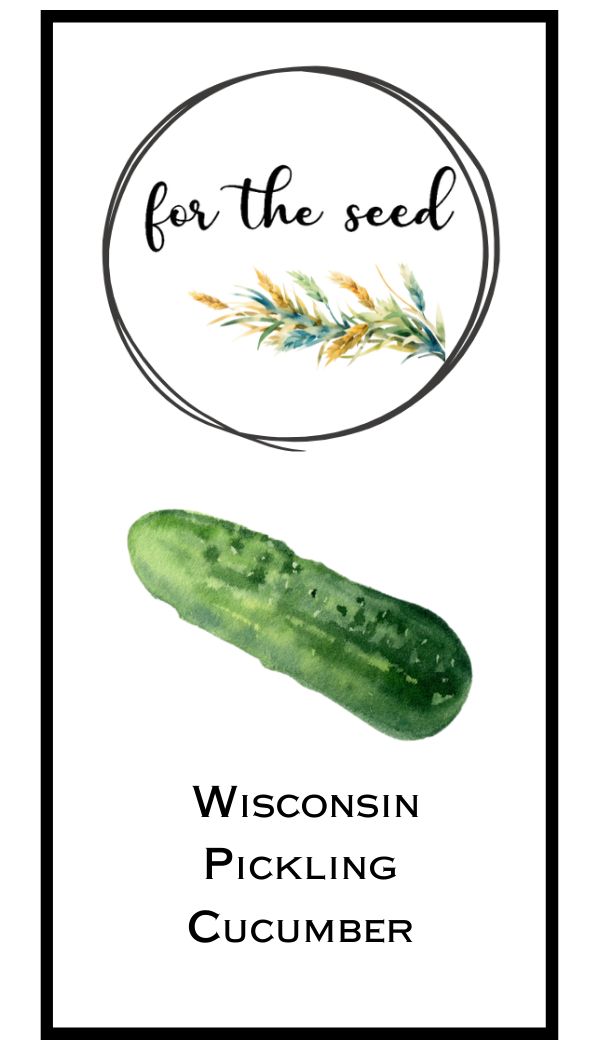 Wisconsin Pickling Cucumber