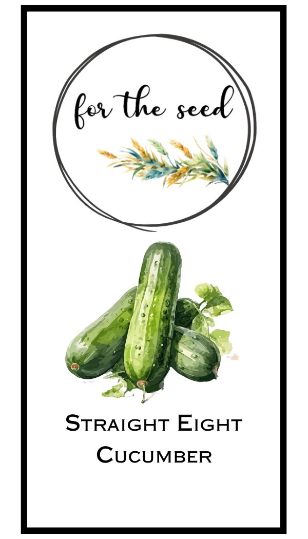 Straight Eight Slicing Cucumber