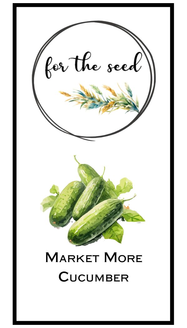 Marketmore Slicing Cucumber