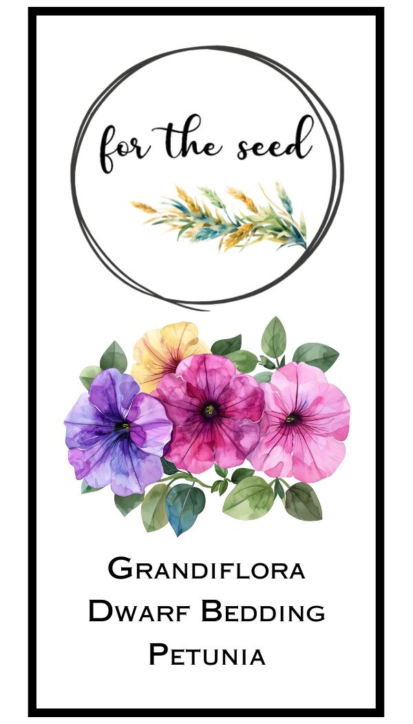 Grandiflora Dwarf Petunia