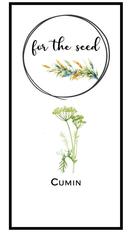 Cumin