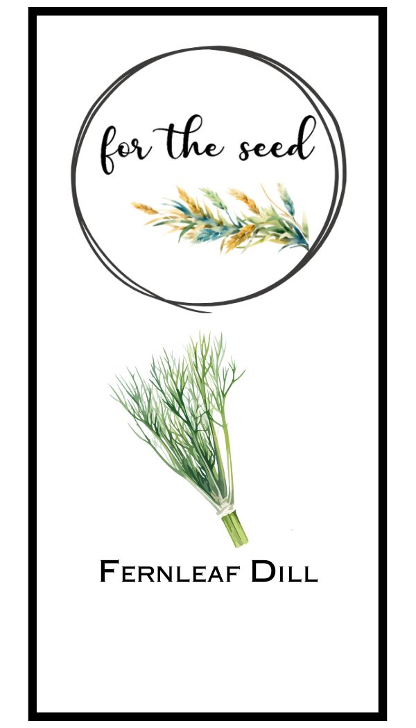 Fernleaf Dill