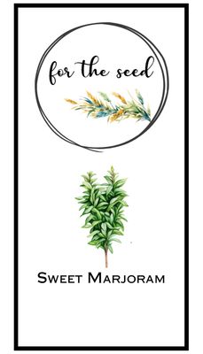 Sweet Marjoram