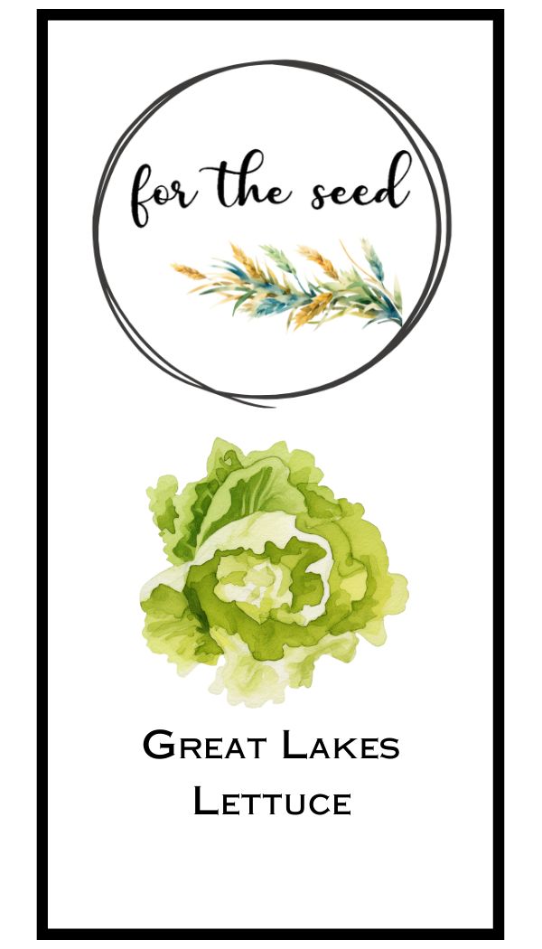 Great Lakes Lettuce