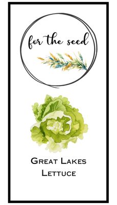 Great Lakes Lettuce