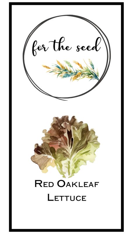 Red Oakleaf Lettuce
