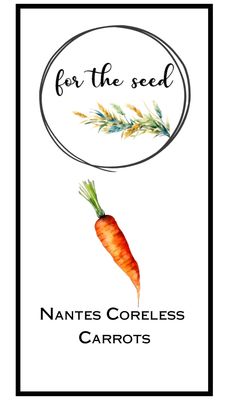 Nantes Coreless Carrot
