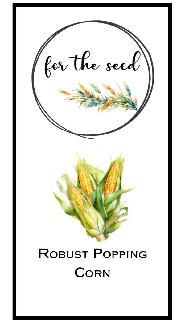 Robust Popping Corn