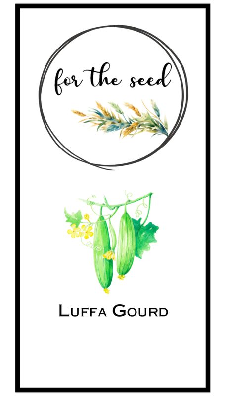 Luffa Gourd