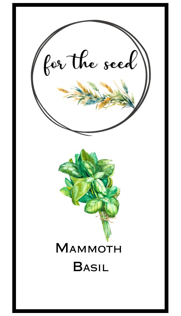 Mammoth Basil