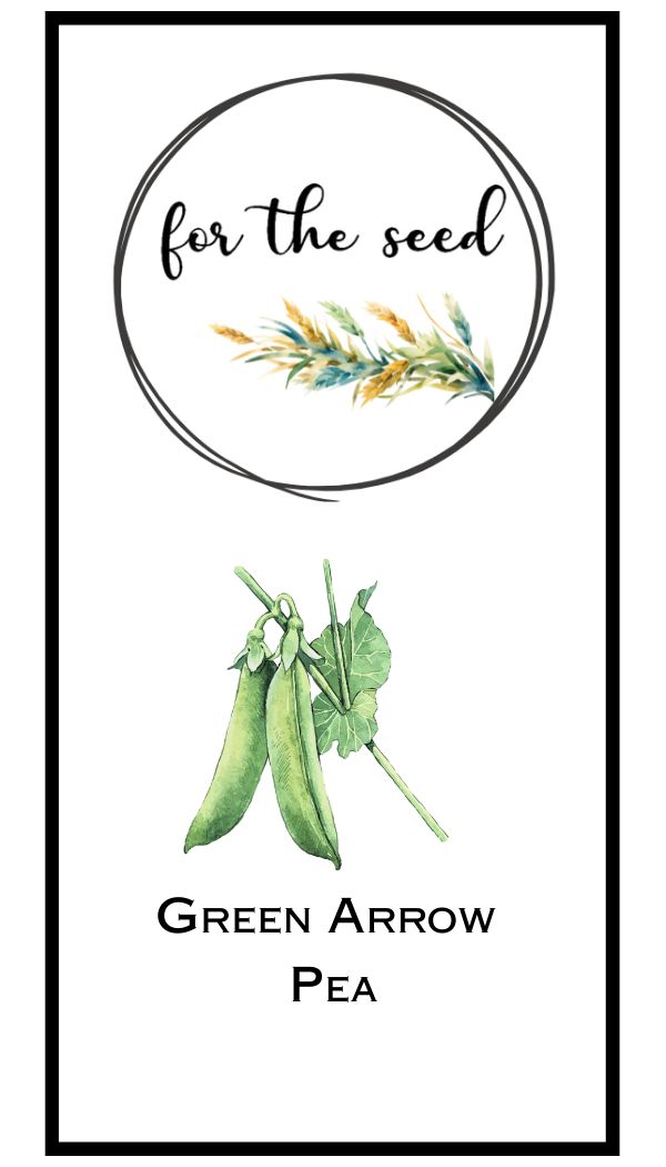Green Arrow Peas - Standard Pack