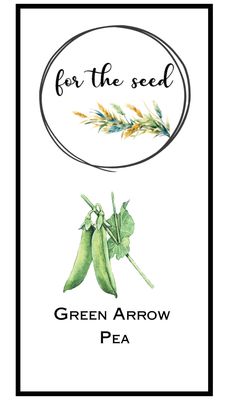 Green Arrow Peas - 1/2lb Jumbo Pack