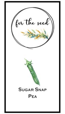 Sugar Snap Peas - 1/4lb Large Pack