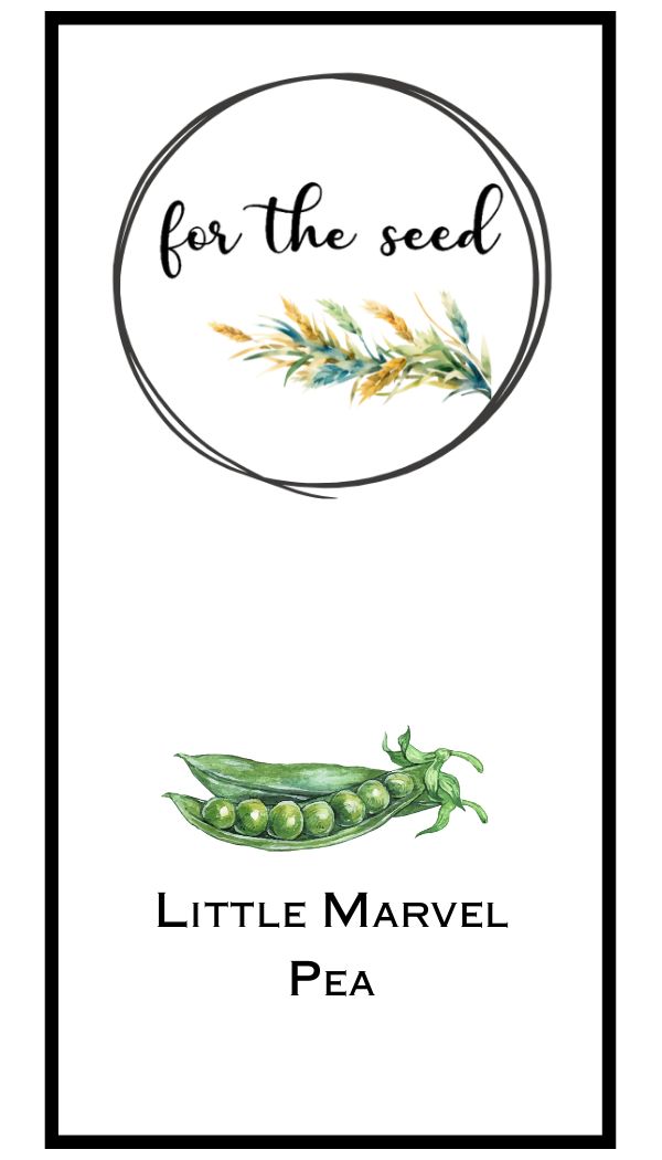 Little Marvel Pea - Standard Pack