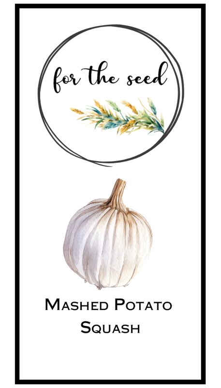 Mashed Potato Hybrid Squash