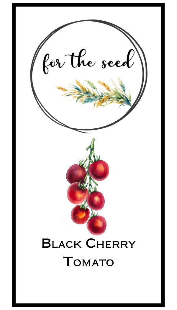 Black Cherry Tomato  (Indeterminate)