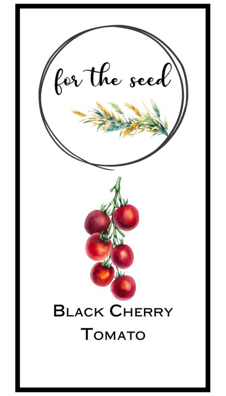 Black Cherry Tomato  (Indeterminate)