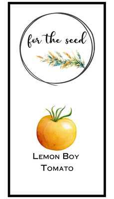 Lemon Boy Tomato (Indeterminate)